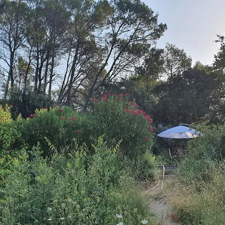 Villa Bastide Gecko Dore *